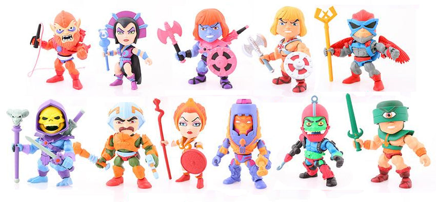 MASTERS OF THE UNIVERSE WAVE 1 ACTION VINYLS PDQ CASE