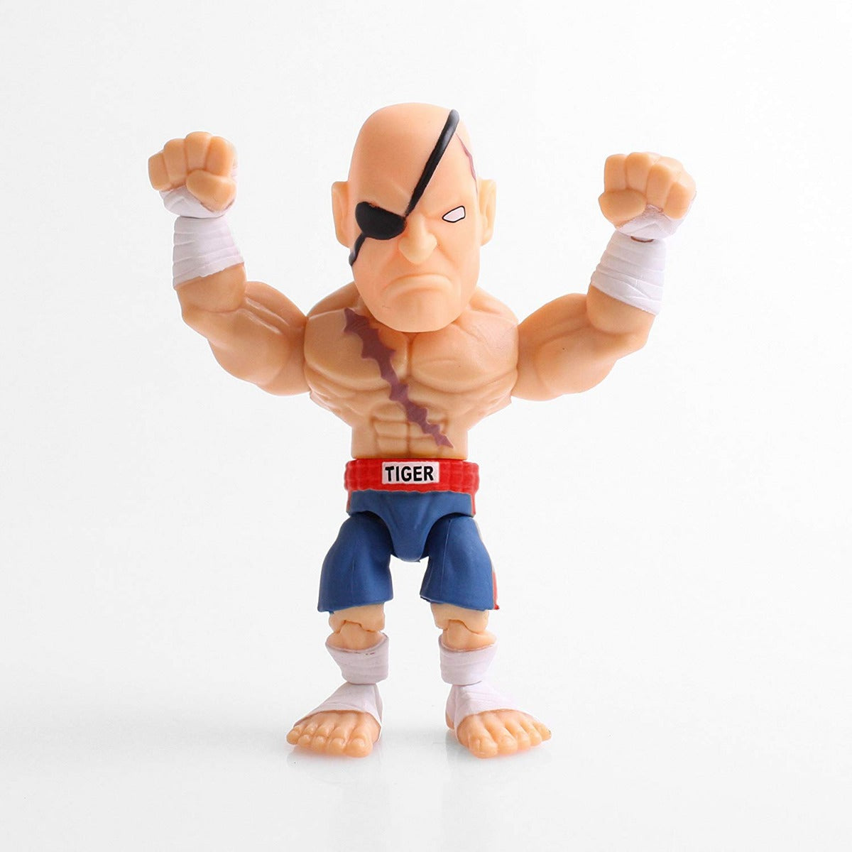STREET FIGHTER WAVE 1 ACTION VINYLS