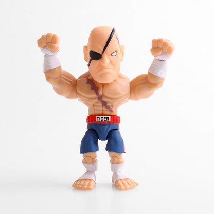 STREET FIGHTER WAVE 1 ACTION VINYLS