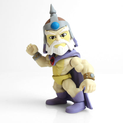 THUNDERCATS WAVE 1 ACTION VINYLS PDQ CASE